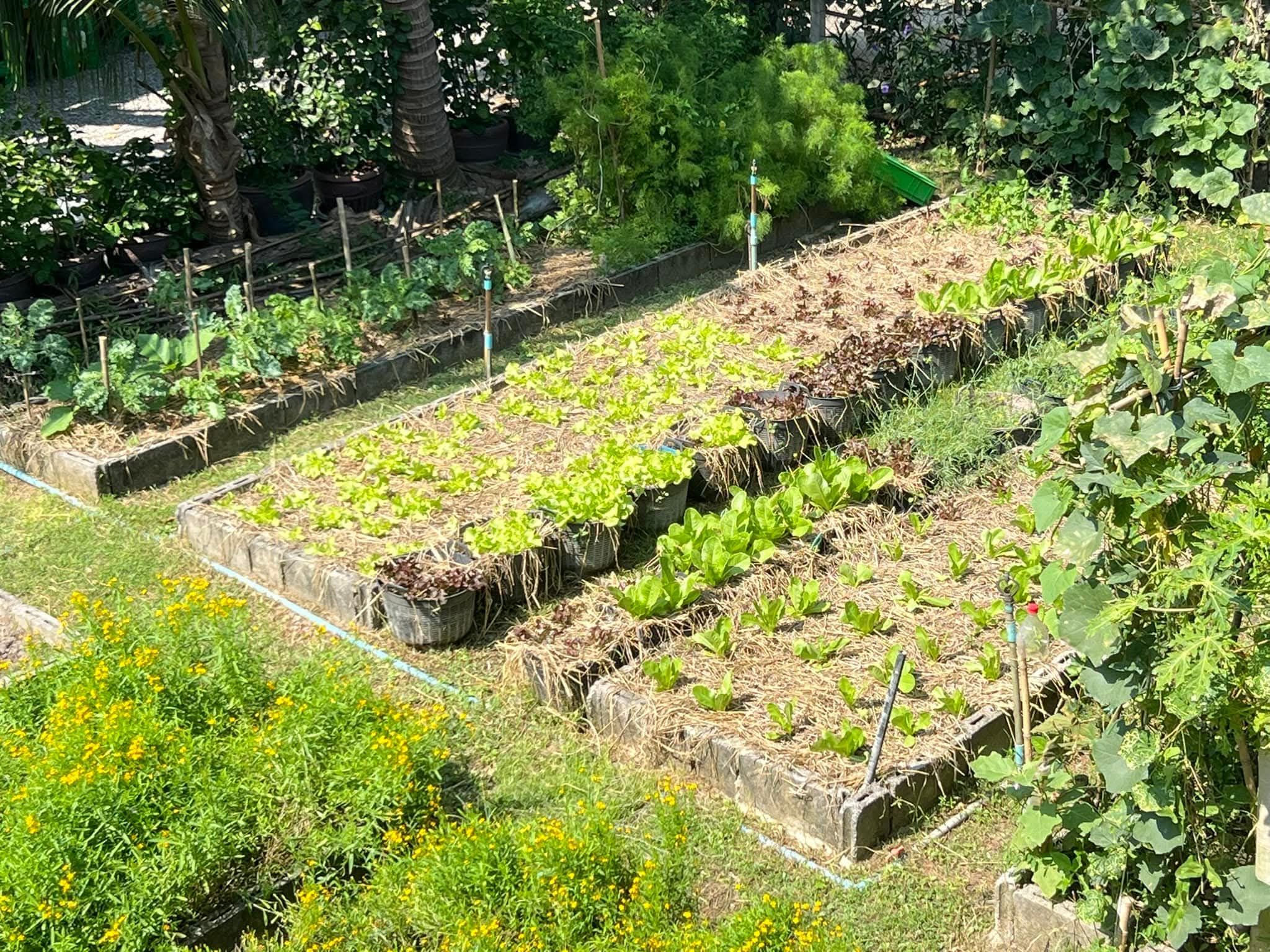 Regular Rectangle Farm Truly Organic